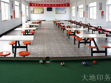 岳陽市大地印務有限公司,岳陽大地印務,印刷包裝,食品包裝哪里好